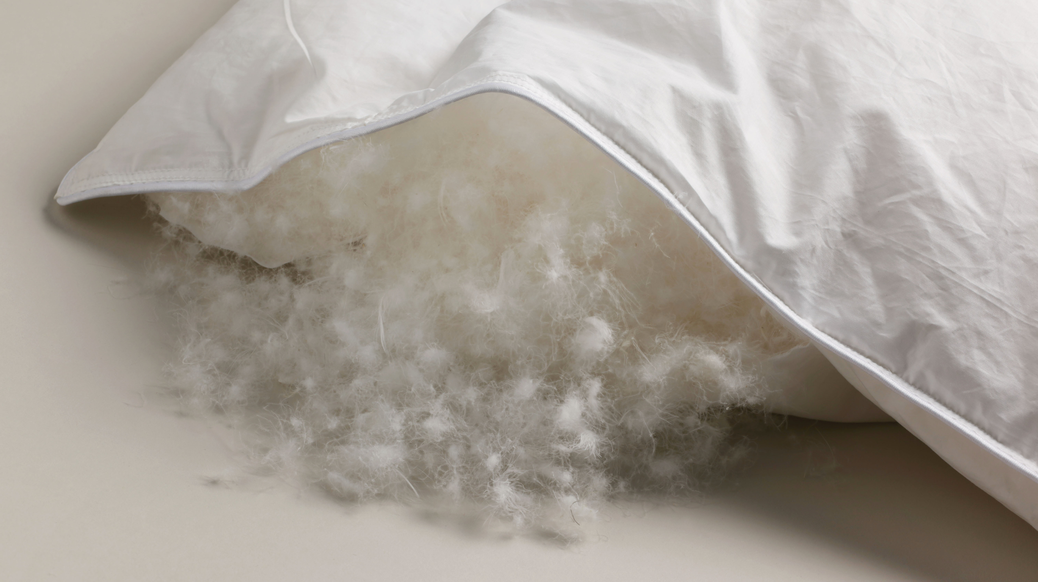 A close-up image of Siberian down inside one of our pillows.